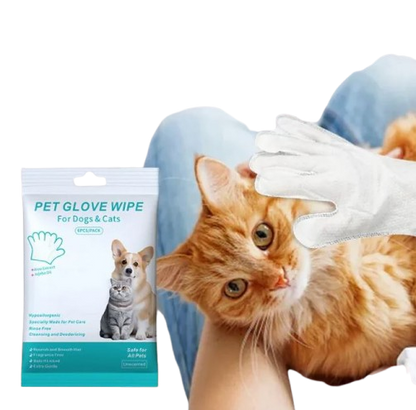Gants et Lingettes de Nettoyage pour Animaux