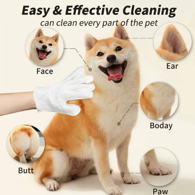 Gants et Lingettes de Nettoyage pour Animaux